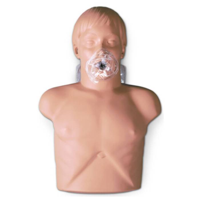 torso para RCP